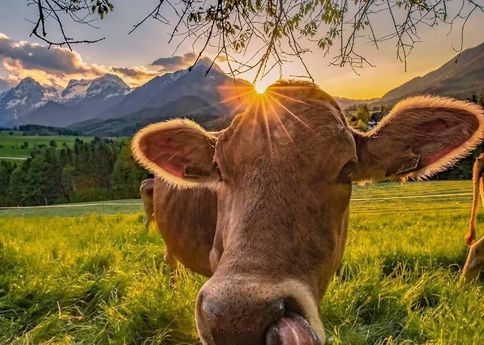 Landliebe Mit Seenaehe Und Innenpool